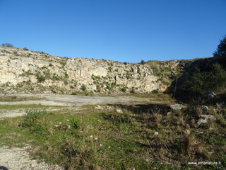 traro-30-12-2021 11-00-27